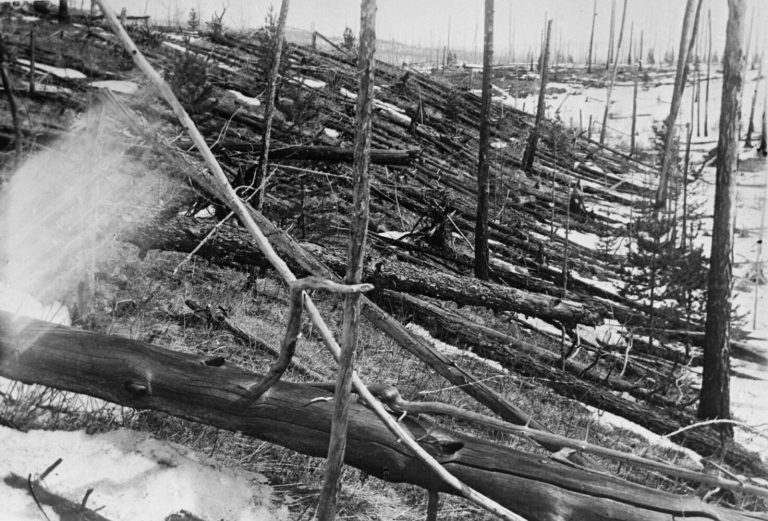A black-and-white photograph shows a hillside covered in dozens of fallen, stripped tree trunks all knocked down and pointing in the same direction. A few bare, vertical trunks still stand scattered amidst the devastation, while patches of snow and low brush cover the ground. The image is evenly lit with clear contrast between the dark bark of the logs and the light, snowy terrain.