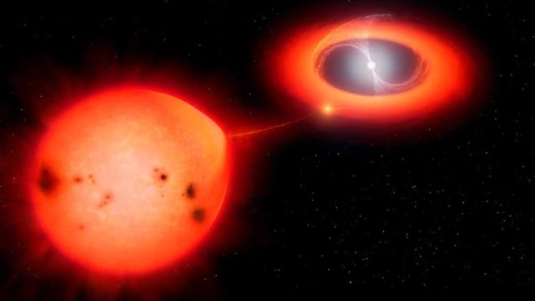 An artistic color illustration depicts a large, glowing orange-red star on the left with dark spots on its surface, stretching slightly toward a smaller, brilliant white star on the right. The white star is enveloped in a bright, glowing red ring and has a faint, hourglass-shaped white mist radiating from its center. A thin stream of glowing red matter connects the two stars across a black background dotted with tiny white specks.