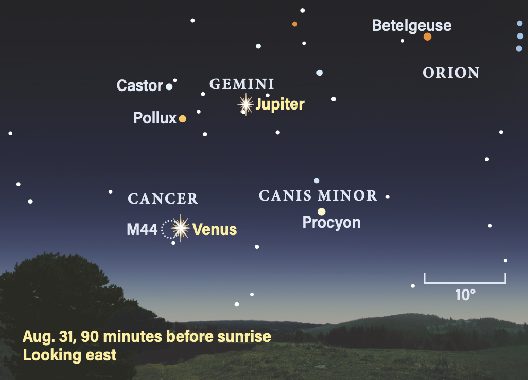 The Sky Today on Sunday, August 31: Venus hangs with the Beehive