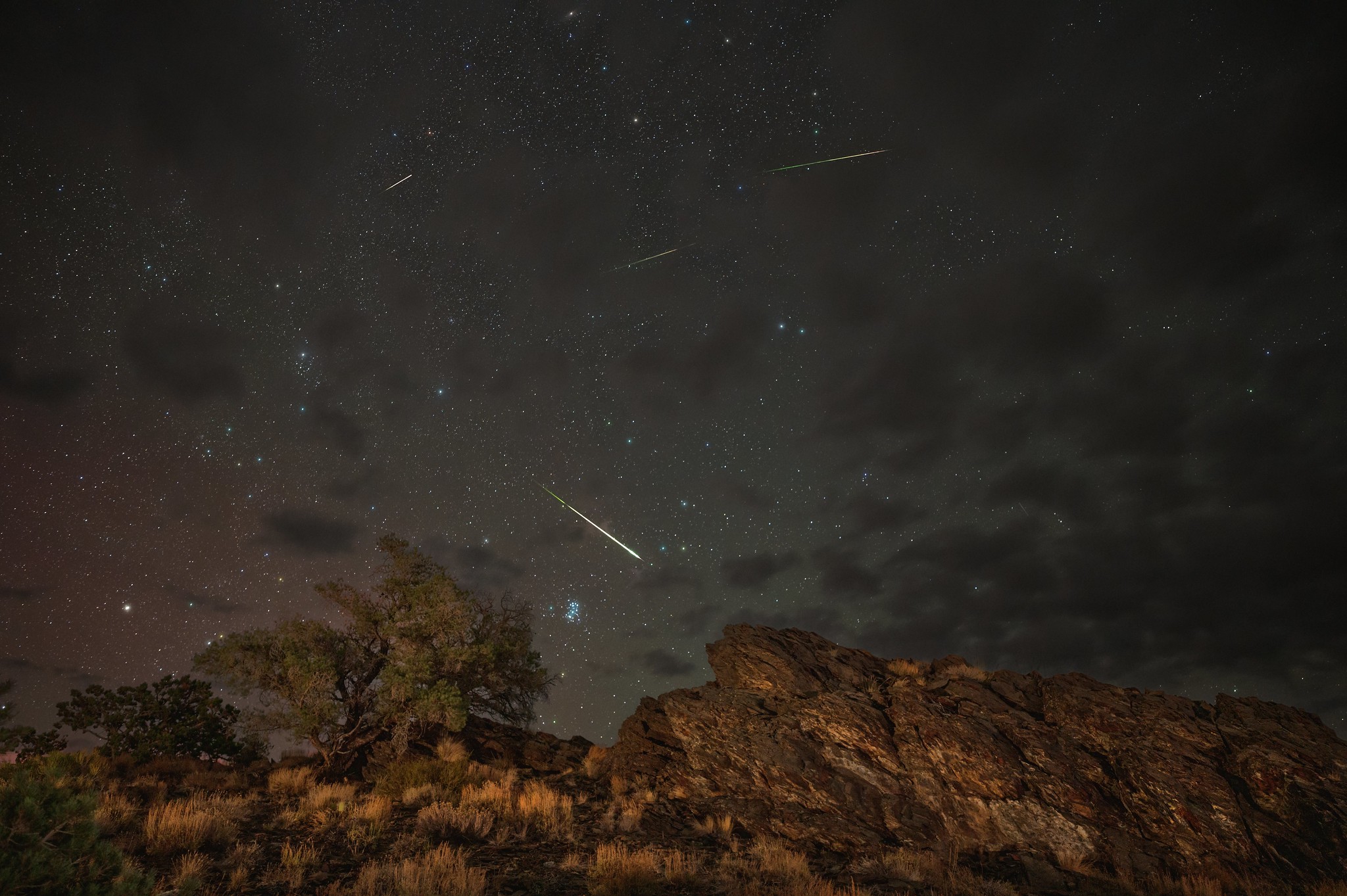 https://www.astronomy.com/wp-content/uploads/2025/08/2024_Perseids.jpg