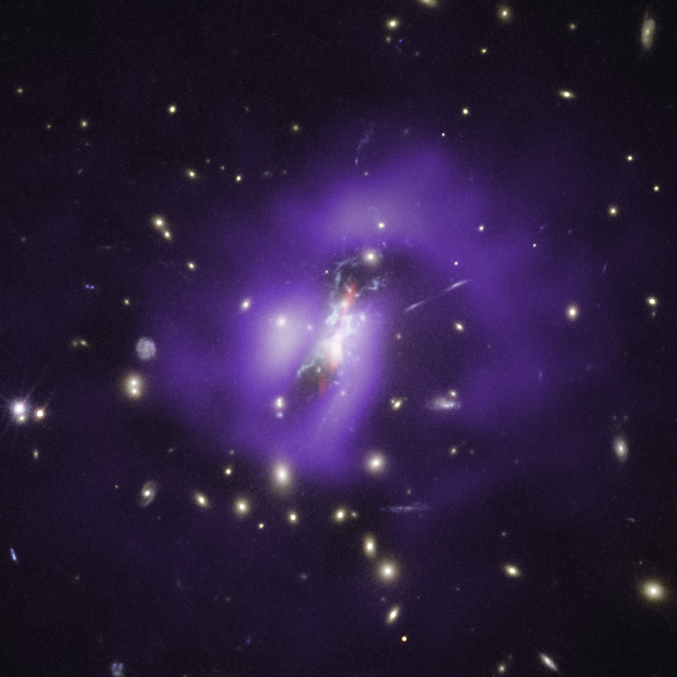 ジェイムズ・ウェッブ宇宙望遠鏡が捉えたフェニックス・クラスターの姿が、科学的な難問を投げかけている。 または ジェイムズ・ウェッブ宇宙望遠鏡によるフェニックス・クラスターの観測が、科学界に新たな謎を呼んでいる。 どちらの訳も自然で読みやすいと思います。文脈によって、どちらがより適切か判断してください。