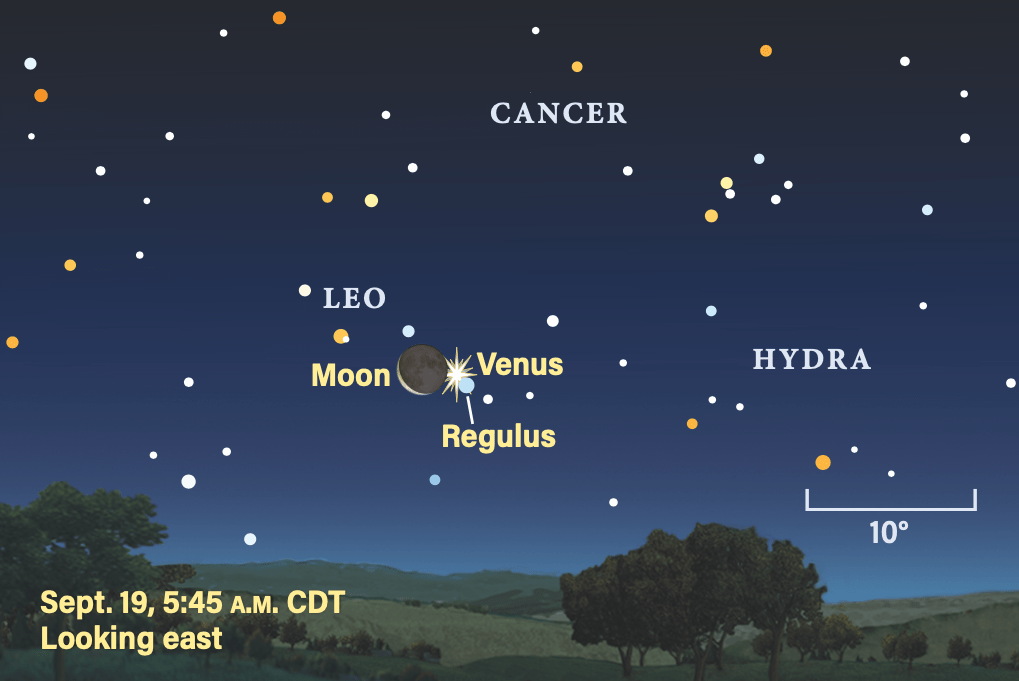 The Sky Today on Friday, September 19: Regulus, Venus, and the