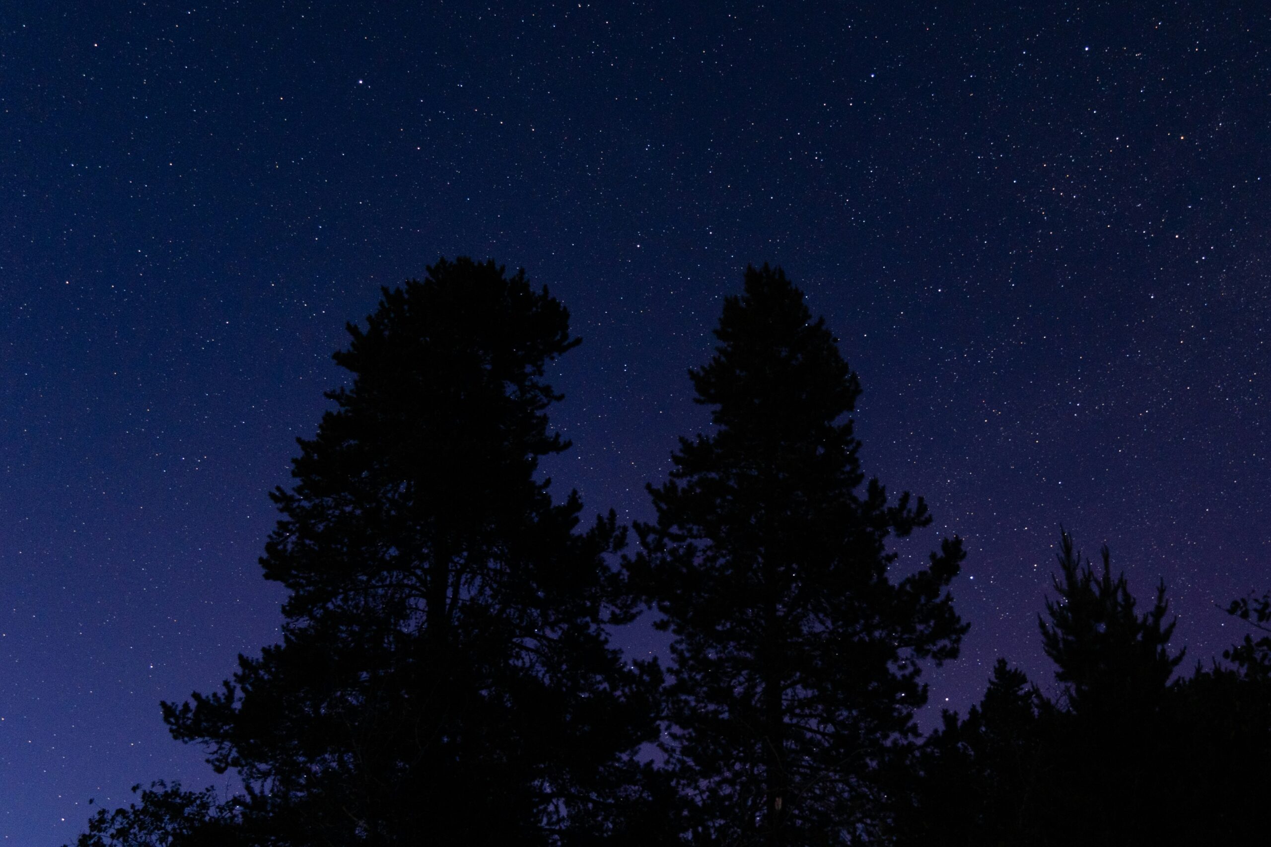 https://www.astronomy.com/wp-content/uploads/2025/08/nightscape-august-gribble-scaled.jpg