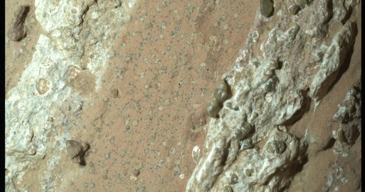 Ancient life on Mars: Perseverance finds strongest evidence yet