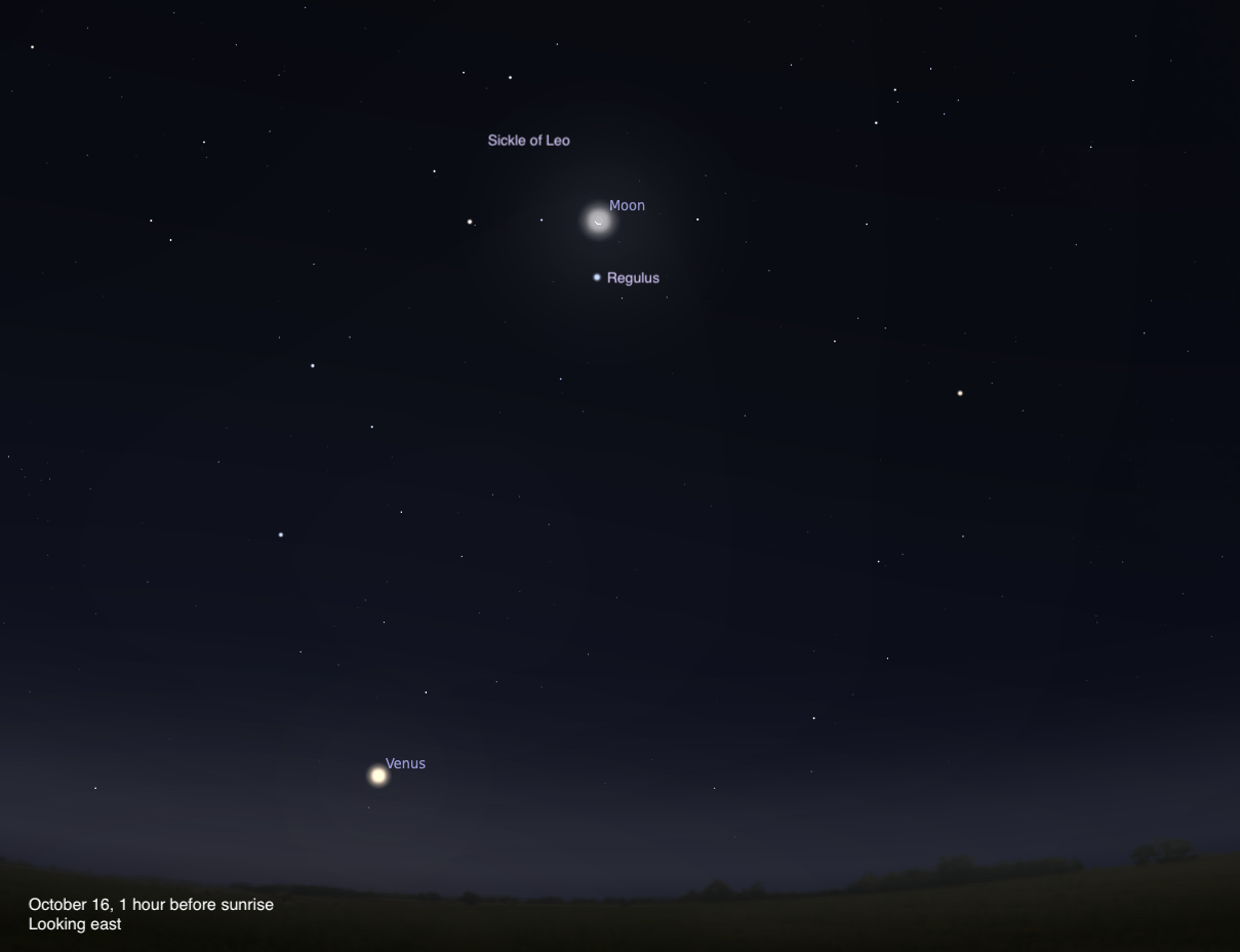 The Sky Today on Thursday, October 16: The Moon rises with Regulus