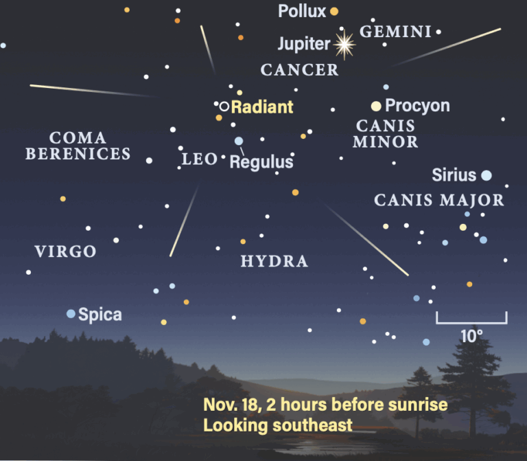 The peak of the Leonid meteor shower, November 18, 2025, looking southeast 2 hours before sunrise