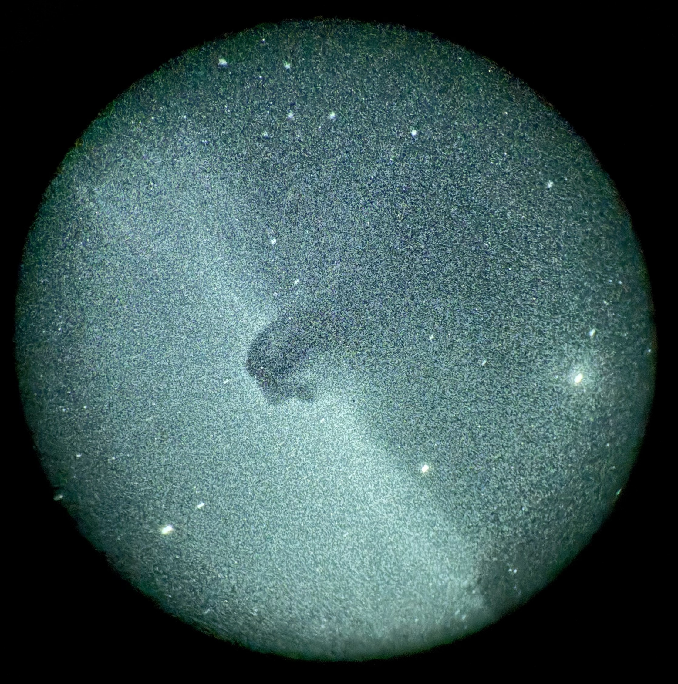 A memorable star party in New Mexico