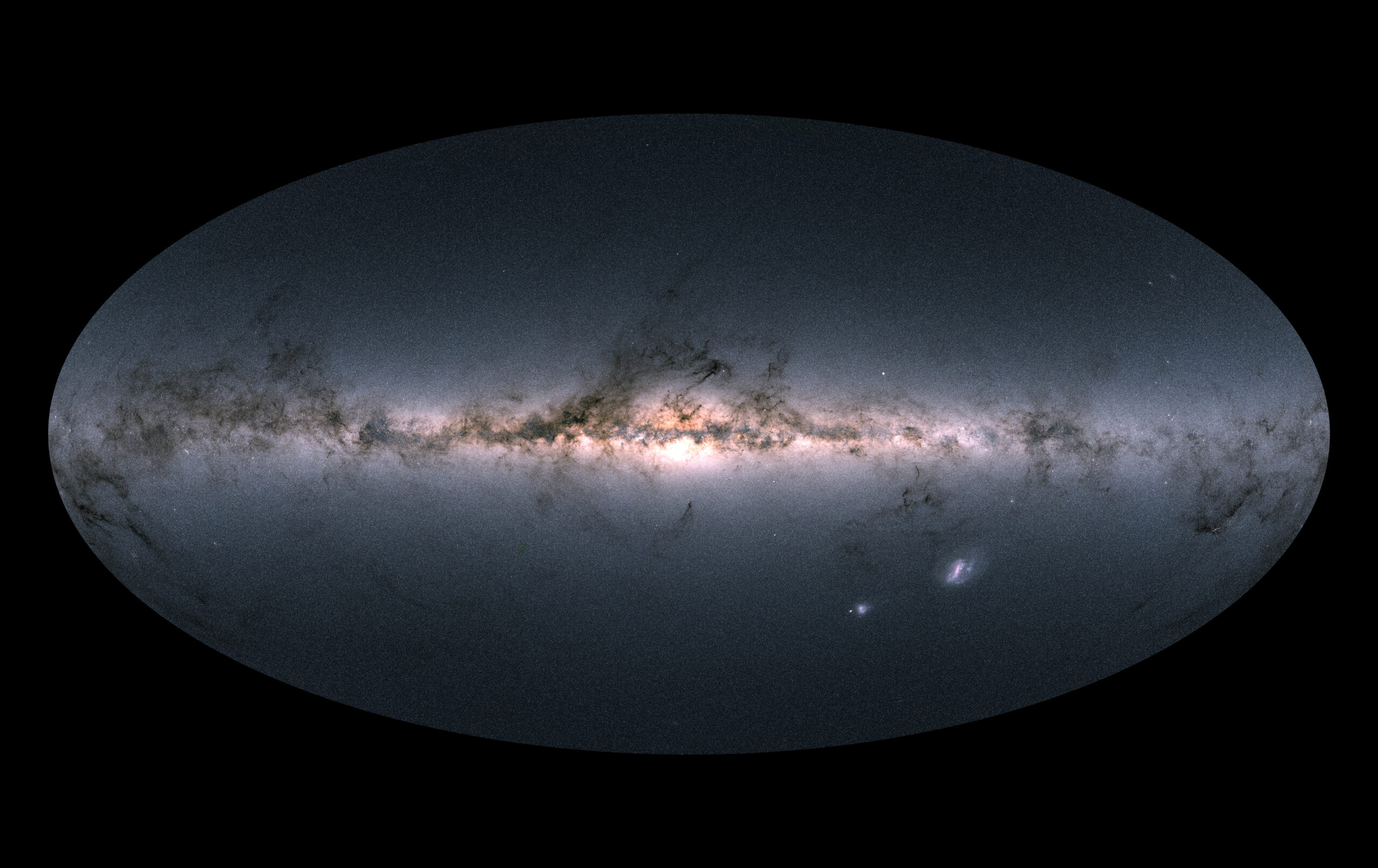 Can a binary companion survive a supernova blast?