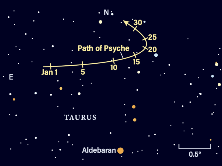 The path of asteroid 16 Psyche in January 2026