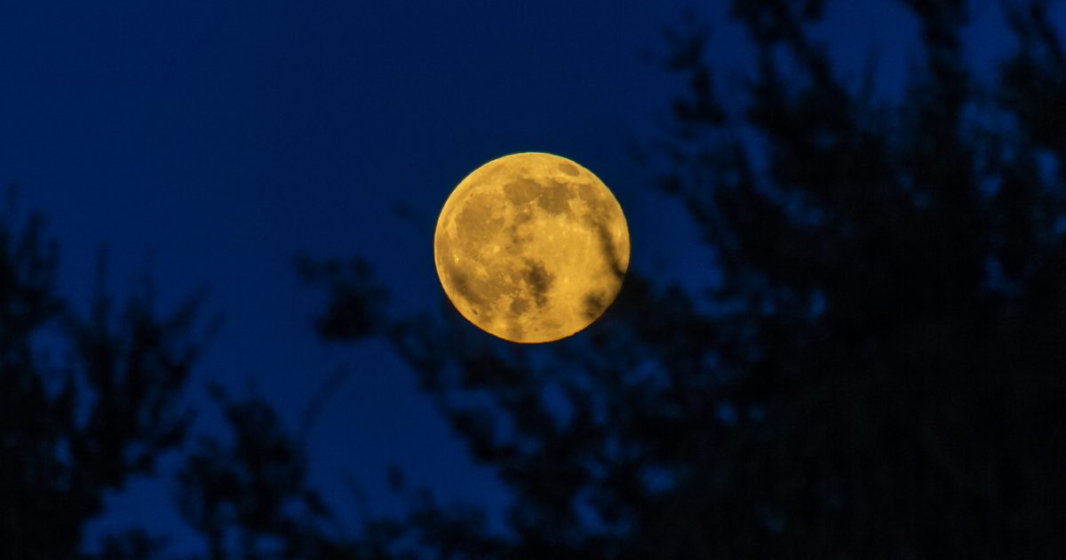 2026 Full Moon calendar: When to see the Full Moon and phase