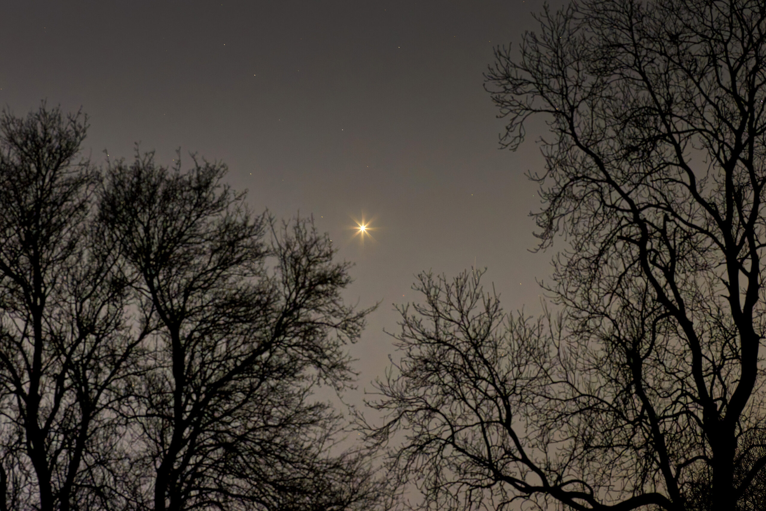 Download your free guide to the night sky in 2026