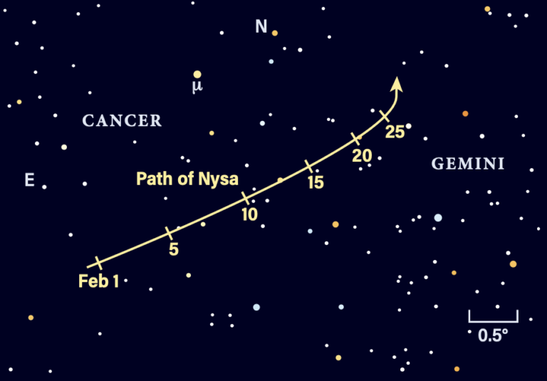The path of asteroid Nysa in February 2026
