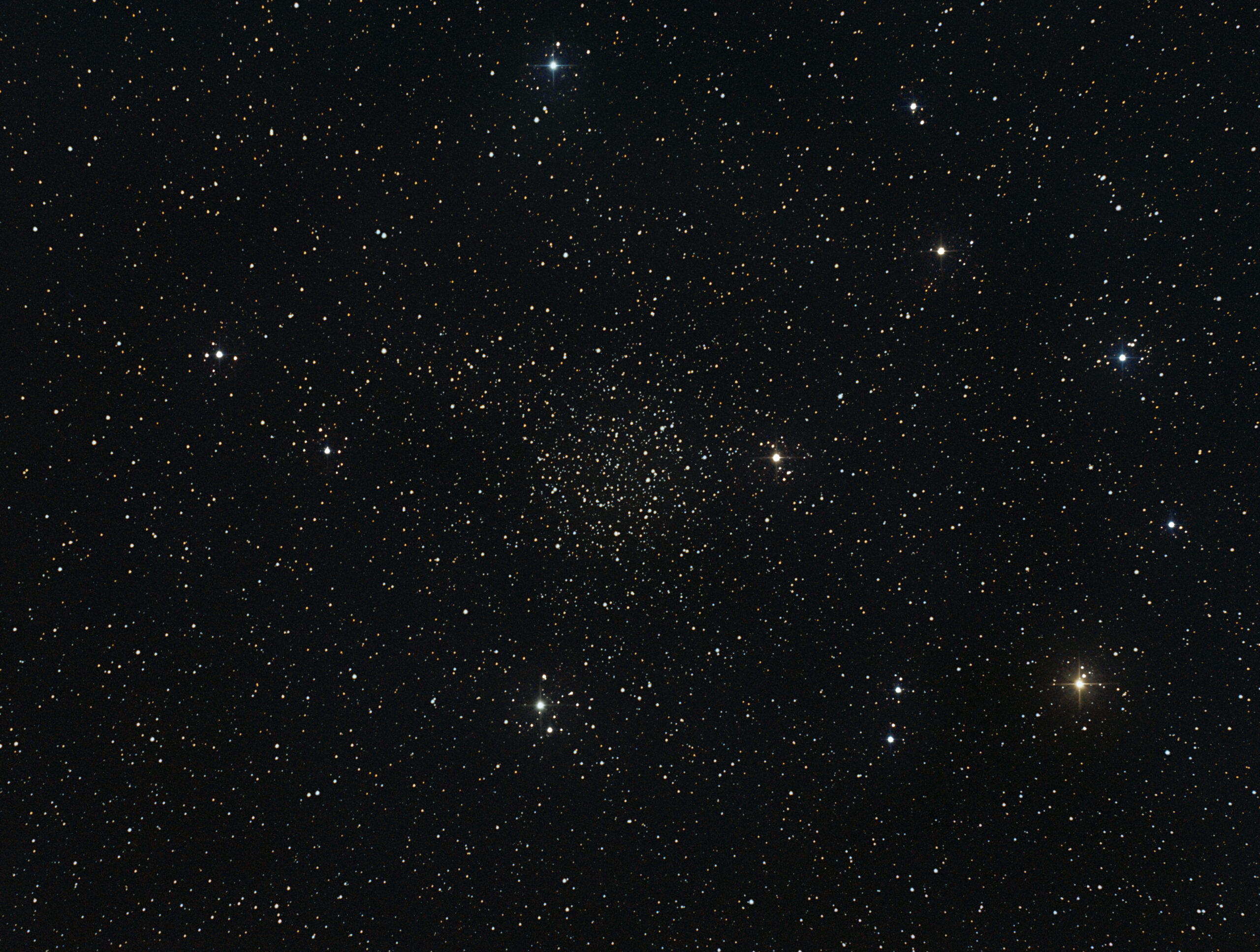 The Sky This Week from Jan. 16 to 23: Caroline's Rose blooms