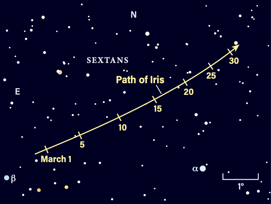 Path of asteroid 7 Iris in March 2026