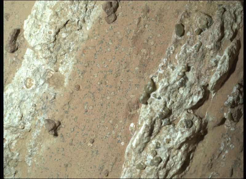 Cheyava Falls rock on Mars