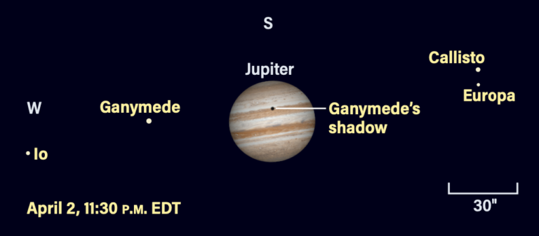 Jupiter and moons, April 2, 2026, at 11:30 PM EDT