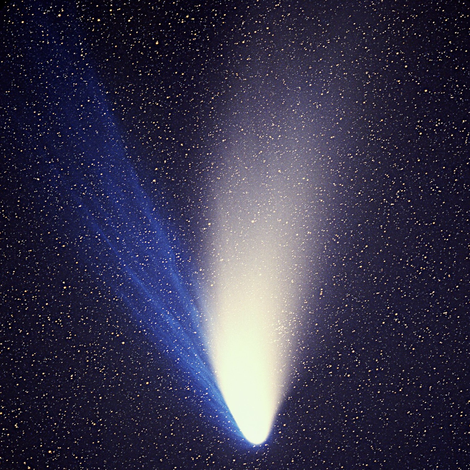 https://www.astronomy.com/wp-content/uploads/2026/03/Comet_Hale-Bopp_1995O1.jpg