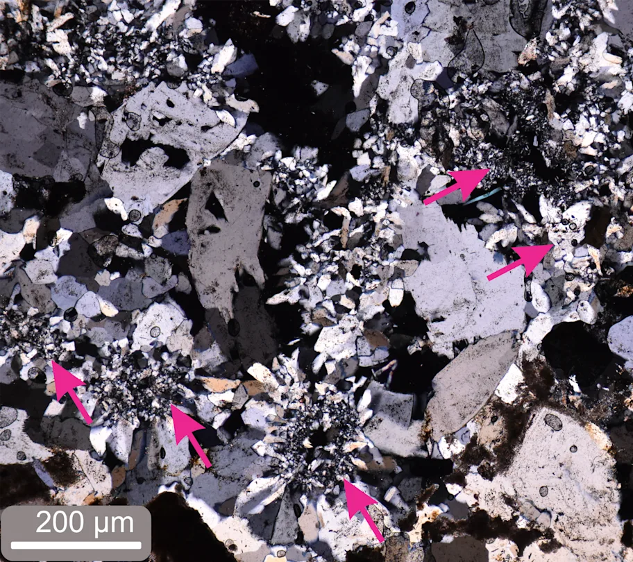 Chilean gypsum could help us find biosignatures on Mars