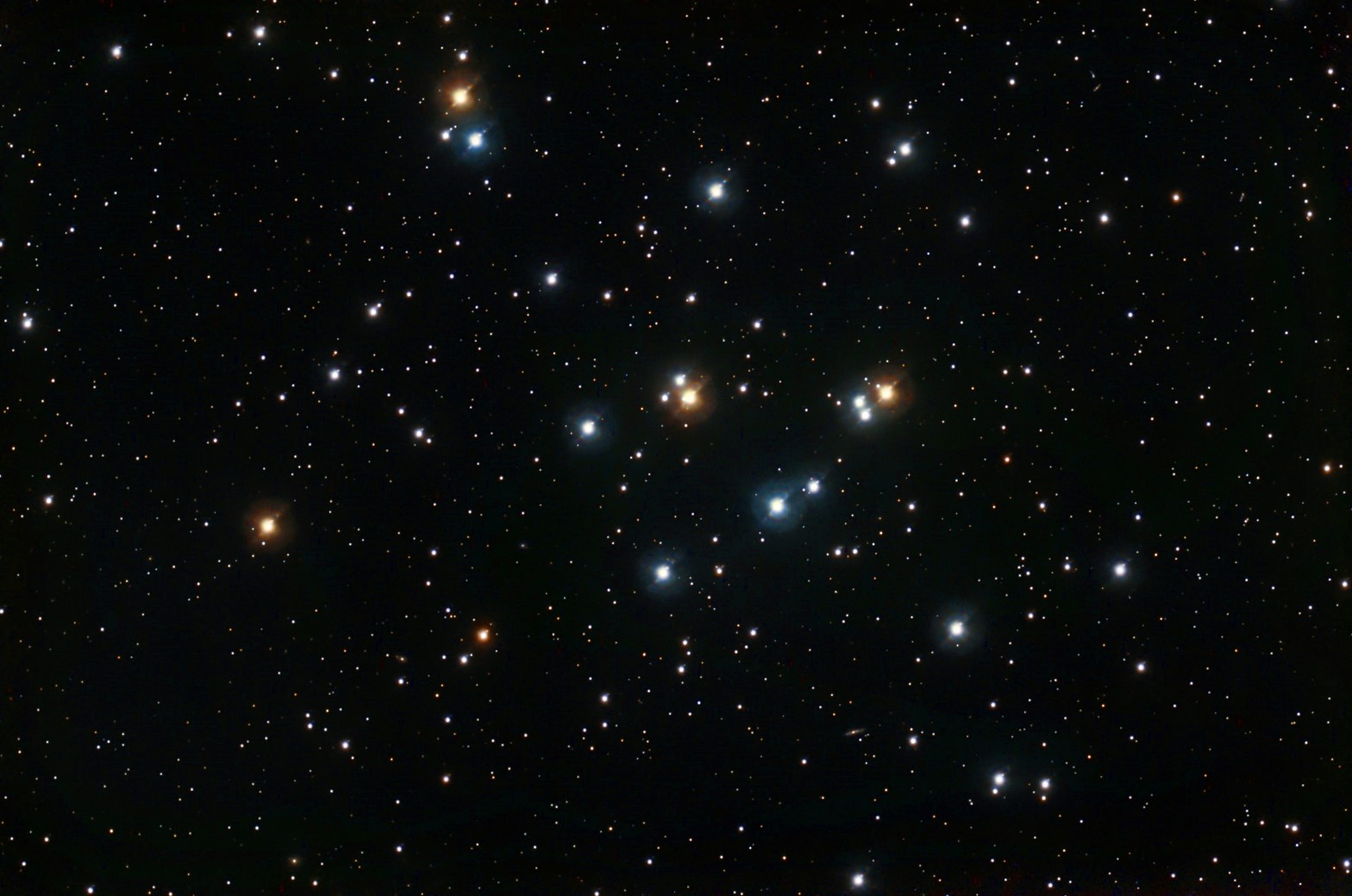A wide-field view of M44, the Beehive Cluster, showing a loose, sprawling grouping of bright, individually resolved stars scattered across the center of the frame. The cluster's most prominent members are large, brilliant blue-white stars, contrasted by several warm orange and golden stars interspersed among them. The cluster has no tight central concentration, spreading openly across the field with a rich background of much fainter stars visible throughout the deep black sky.
