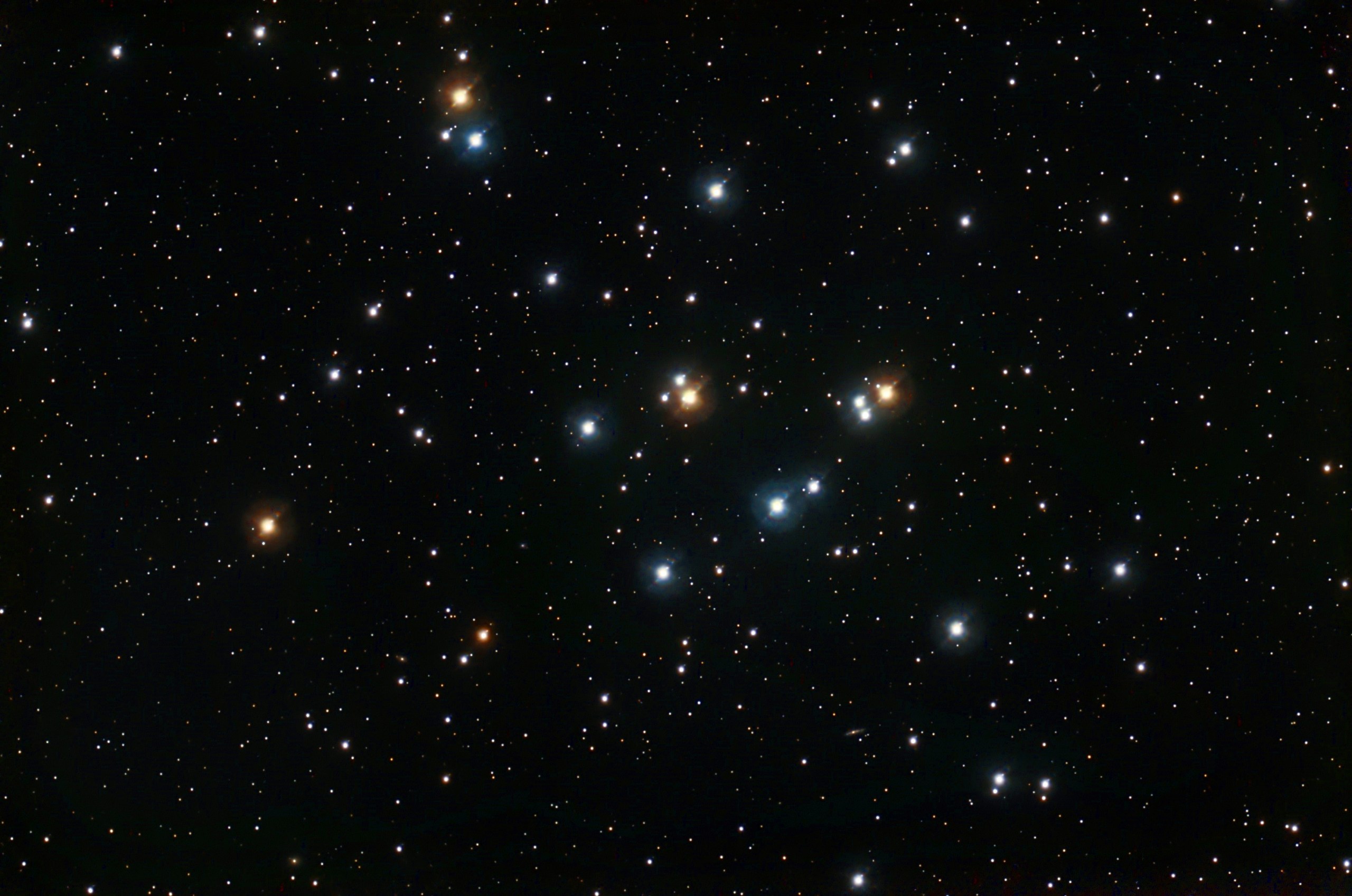 A wide-field view of M44, the Beehive Cluster, showing a loose, sprawling grouping of bright, individually resolved stars scattered across the center of the frame. The cluster's most prominent members are large, brilliant blue-white stars, contrasted by several warm orange and golden stars interspersed among them. The cluster has no tight central concentration, spreading openly across the field with a rich background of much fainter stars visible throughout the deep black sky.