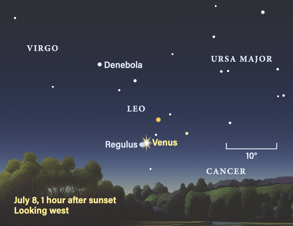 Regulus and Venus conjunction in the sky on July 8, 2026, 1 hour after sunset, looking west