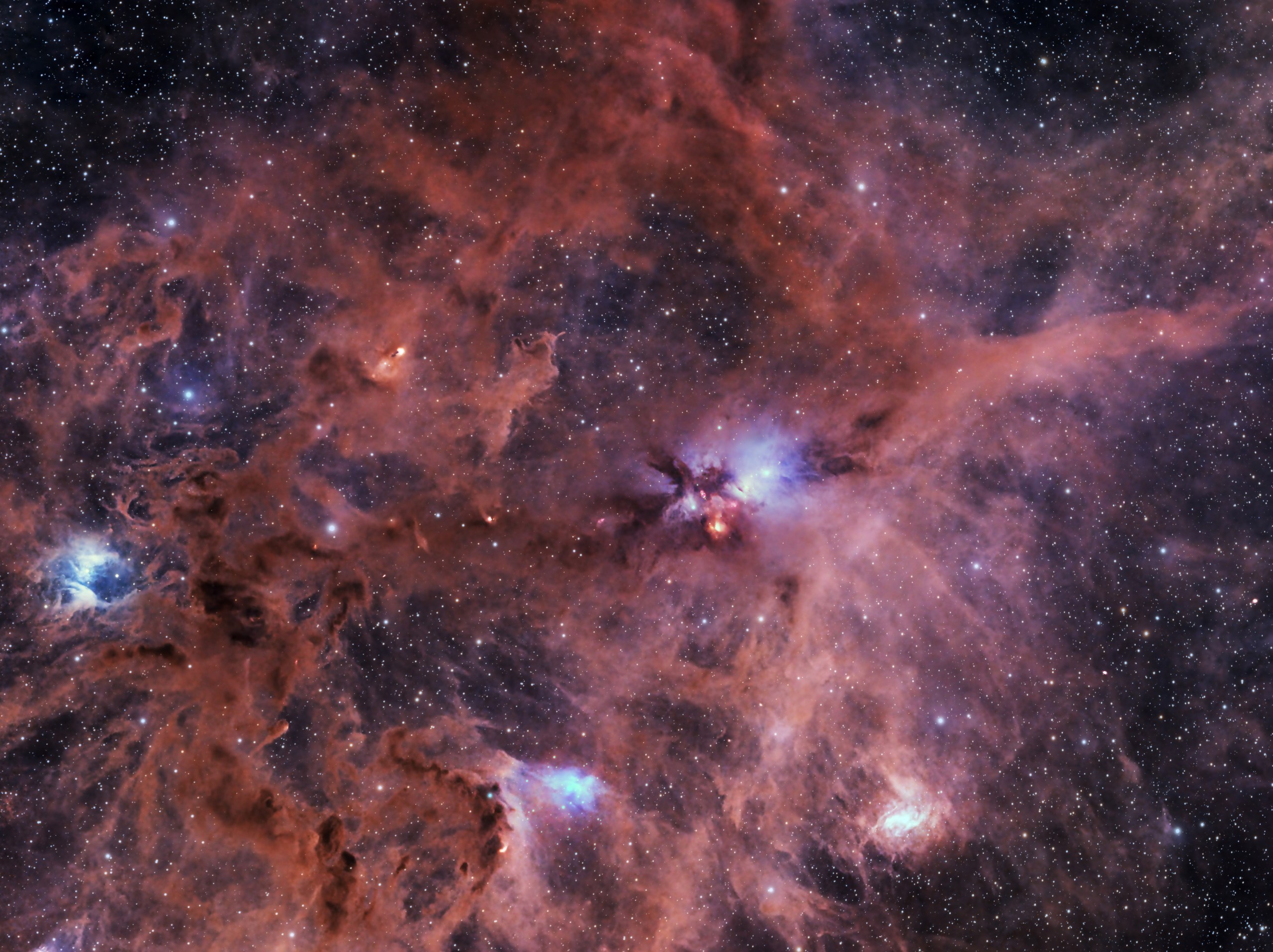 A stellar nursery in Perseus