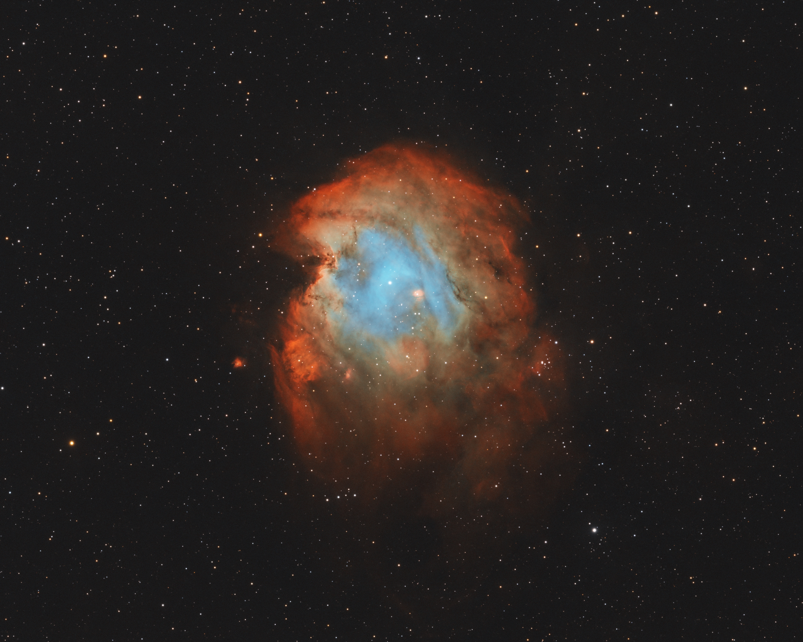 A tribute to Punch | Astronomy Magazine
