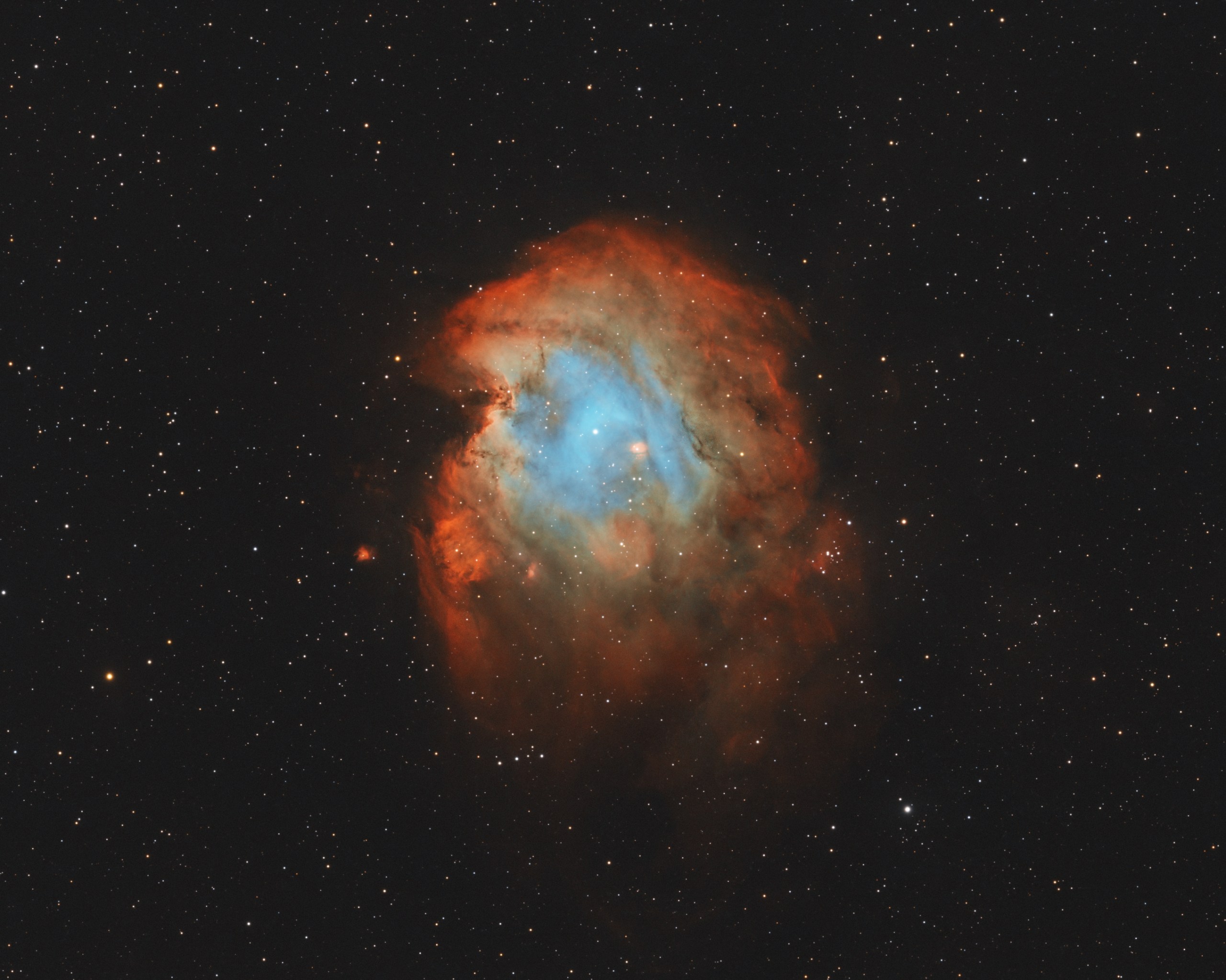 A bright, textured cloud of glowing gas fills most of the frame, forming a rounded shape that loosely suggests a monkey’s head against a dark background. The center is brighter and more structured, with a blue interior puncuated with darker knots and ridges. The outer regions are redder and fade into soft, wispy edges. A sparse scattering of small, sharp stars is visible across the nebula and the darker surrounding sky.
