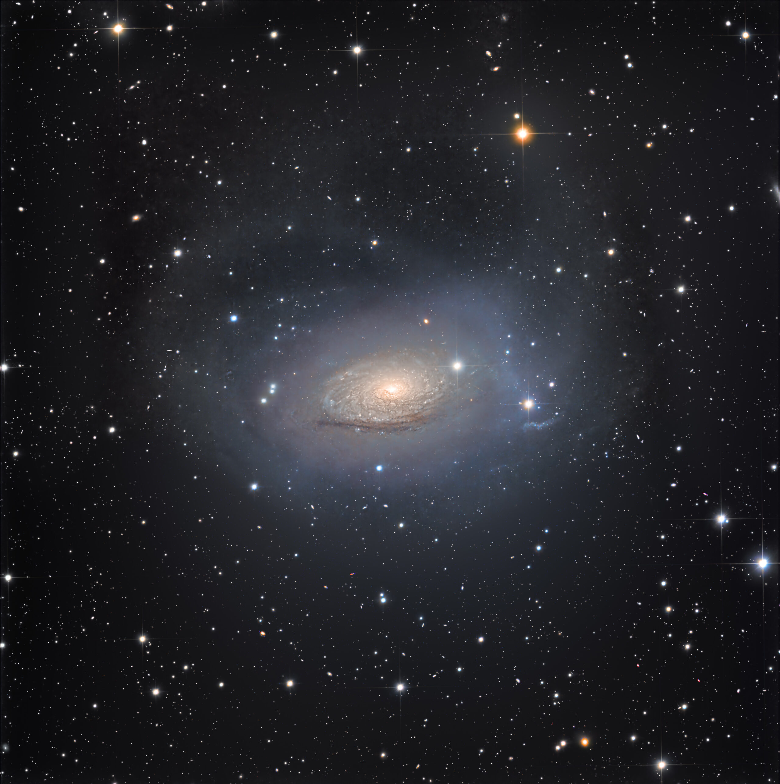 A deep image of the Sunflower Galaxy set against a dark sky, with a bright, compact core wrapped in soft, uneven spirals of light. Very faint, misty arcs and streaks of starlight extend far beyond the main disk, forming a large, irregular halo around the galaxy. The background is sprinkled with small, sharp stars in white, blue, and amber, along with a few tiny, hazy distant galaxies.