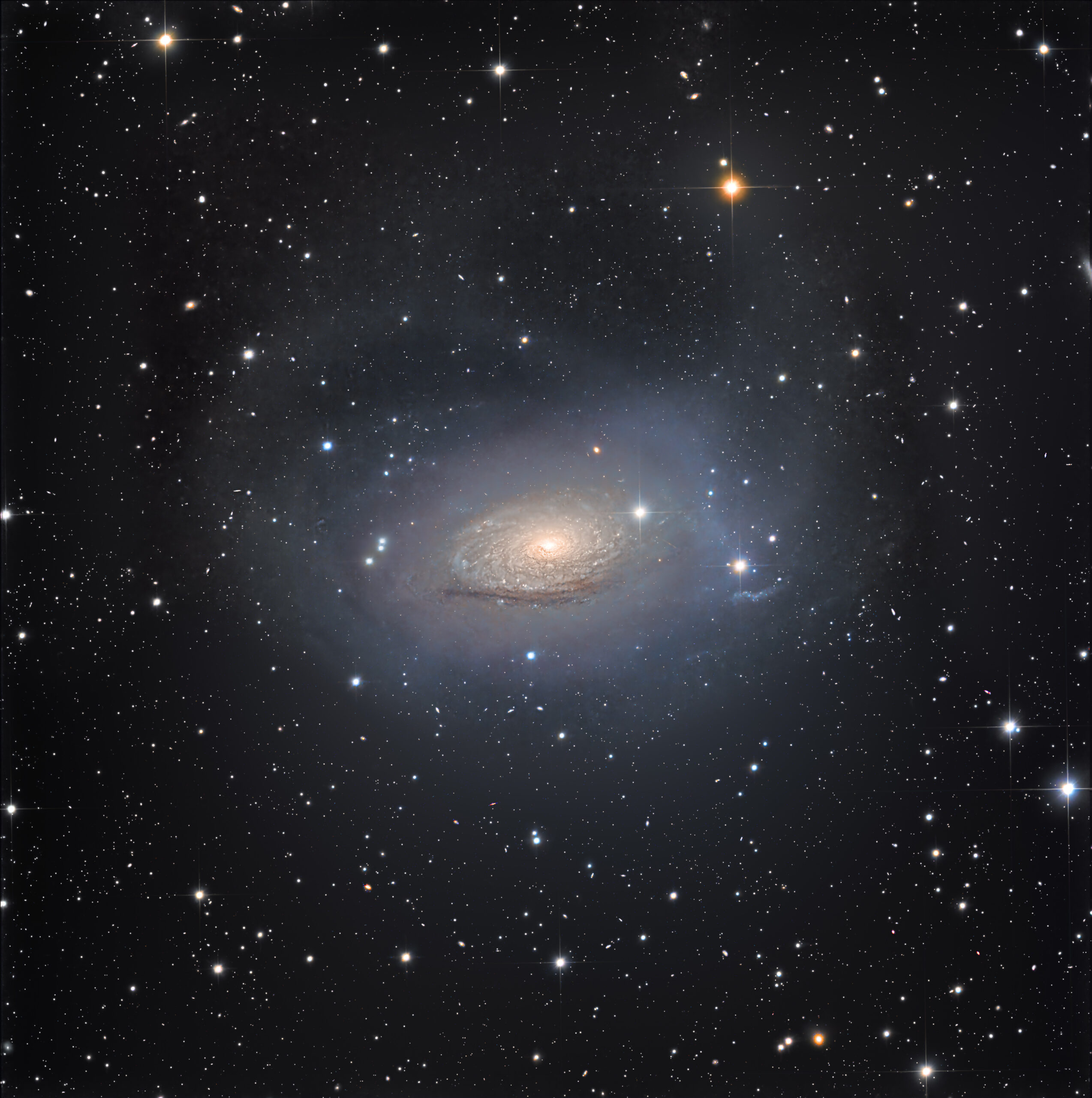 A deep image of the Sunflower Galaxy set against a dark sky, with a bright, compact core wrapped in soft, uneven spirals of light. Very faint, misty arcs and streaks of starlight extend far beyond the main disk, forming a large, irregular halo around the galaxy. The background is sprinkled with small, sharp stars in white, blue, and amber, along with a few tiny, hazy distant galaxies.