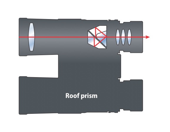 Cross-section diagram of a roof-prism binocular showing the optical path