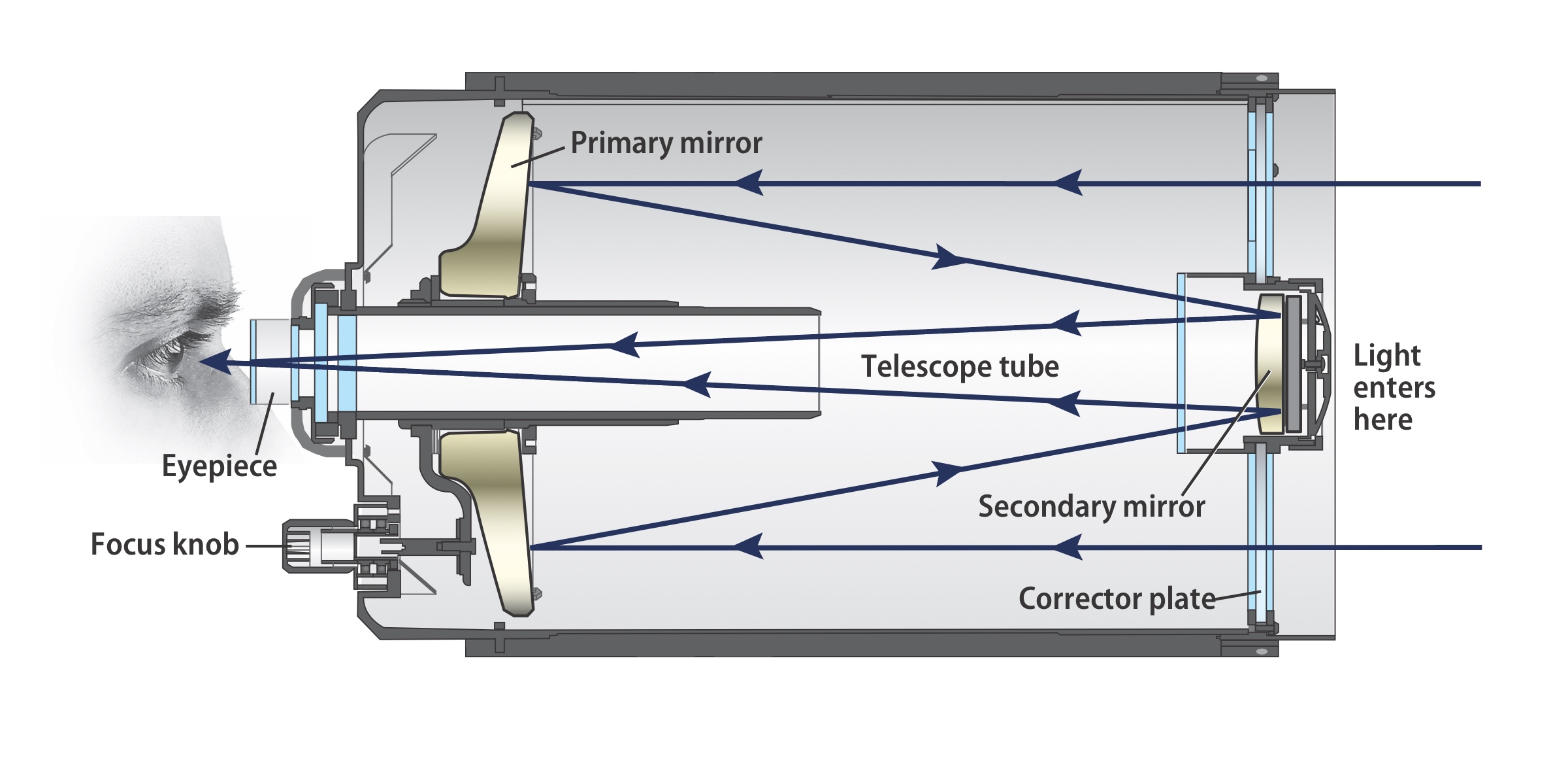 Cross-section diagram of a Schmidt-Cassegrain compound telescope showing corrector plate, primary mirror, secondary mirror, and eyepiece