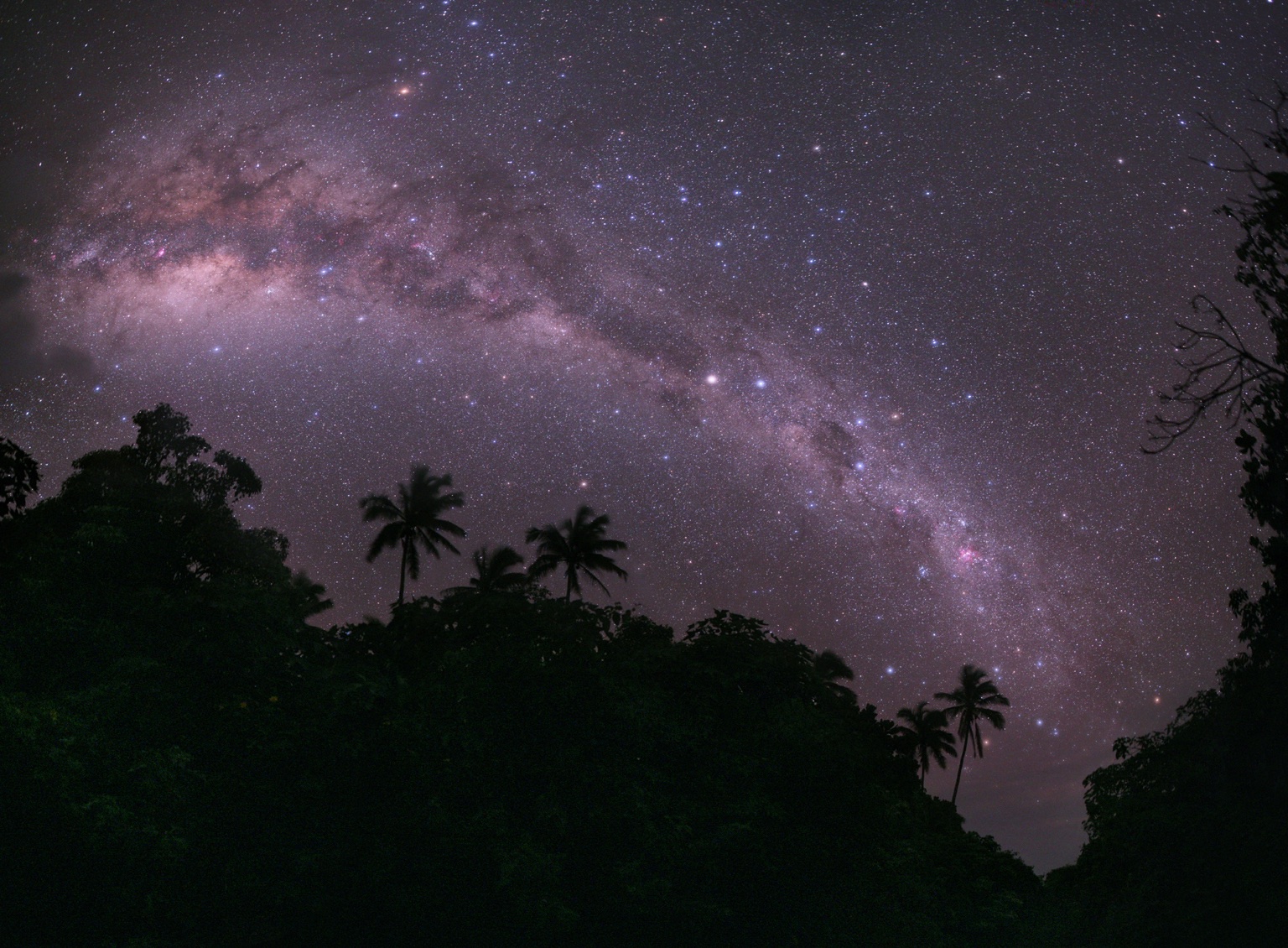 The Milky Way arching over palm tree silhouettes on a tropical night