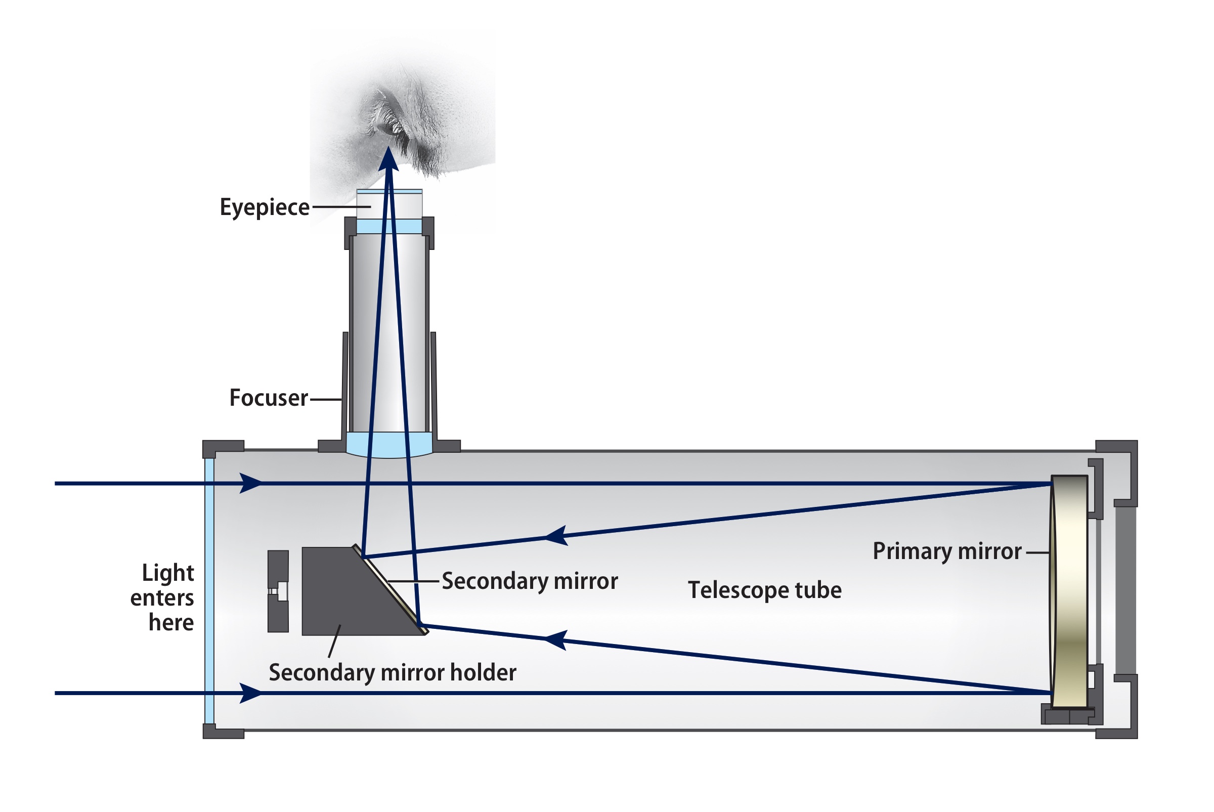 Cross-section diagram of a Newtonian reflecting telescope showing the primary and secondary mirrors, focuser, and eyepiece