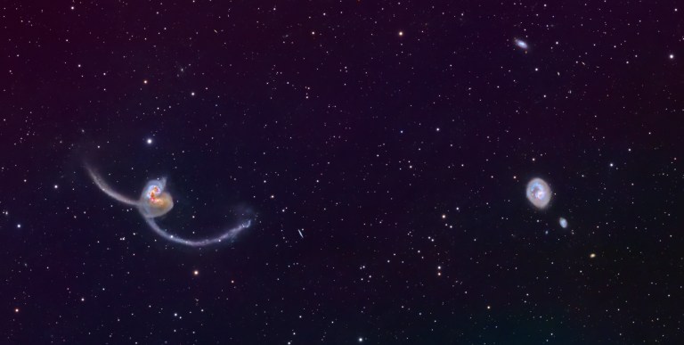 A pair of colliding galaxies sits in the lower-left of the frame, with two bright, close-together cores and long, thin arcs of bluish-white stars and gas sweeping outward in opposite directions against a dark purple-black sky. To the right, a round, face-on spiral galaxy with a bright center and faint, tightly wound arms appears above a smaller, fuzzy companion, all set in a dense background of tiny white stars scattered across the field.