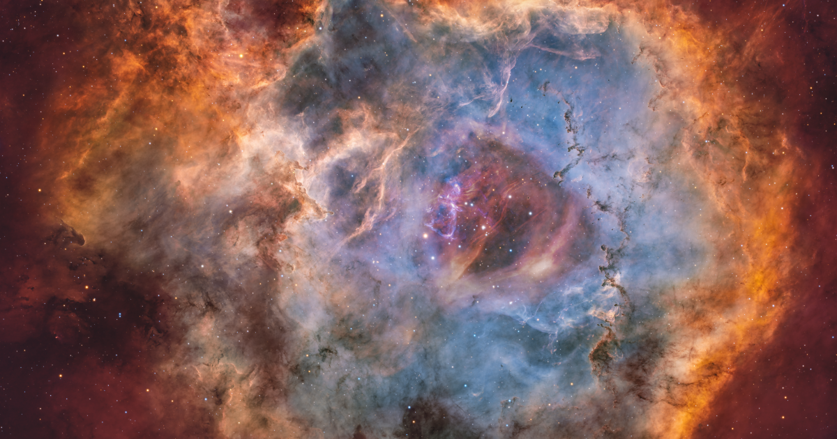 Budding stars