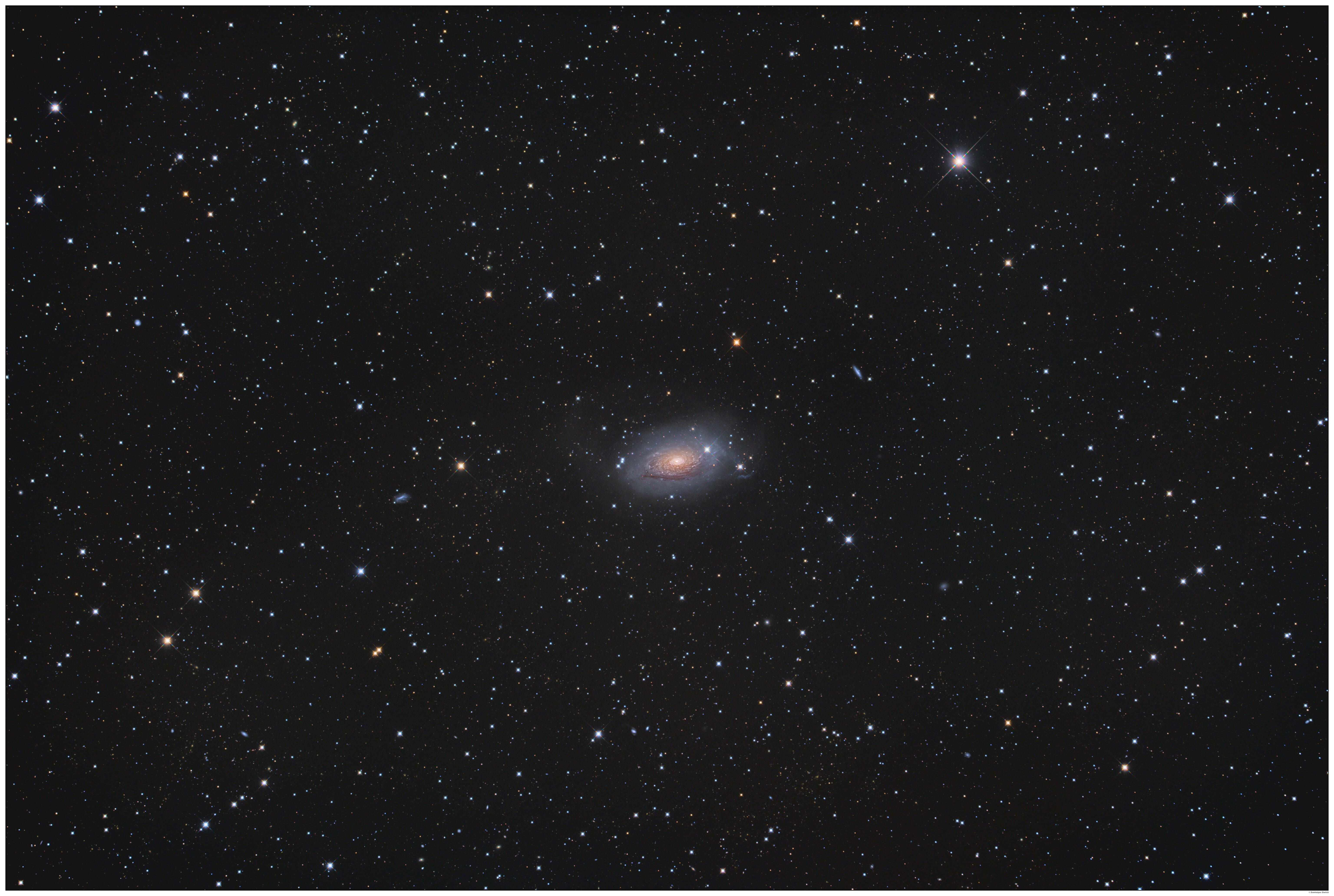 A deep-sky telescope image of M63, the Sunflower Galaxy, a spiral galaxy in Canes Venatici. The galaxy shows a bright golden core surrounded by blue spiral arms, set against a star-filled black background. Several other distant galaxies are faintly visible in the field.