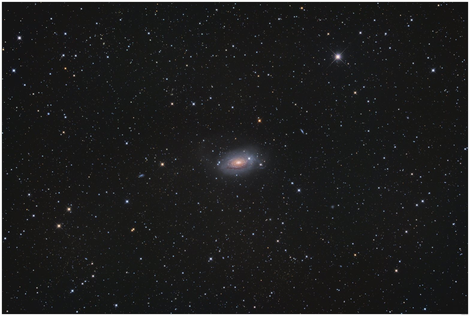 A deep-sky telescope image of M63, the Sunflower Galaxy, a spiral galaxy in Canes Venatici. The galaxy shows a bright golden core surrounded by blue spiral arms, set against a star-filled black background. Several other distant galaxies are faintly visible in the field.