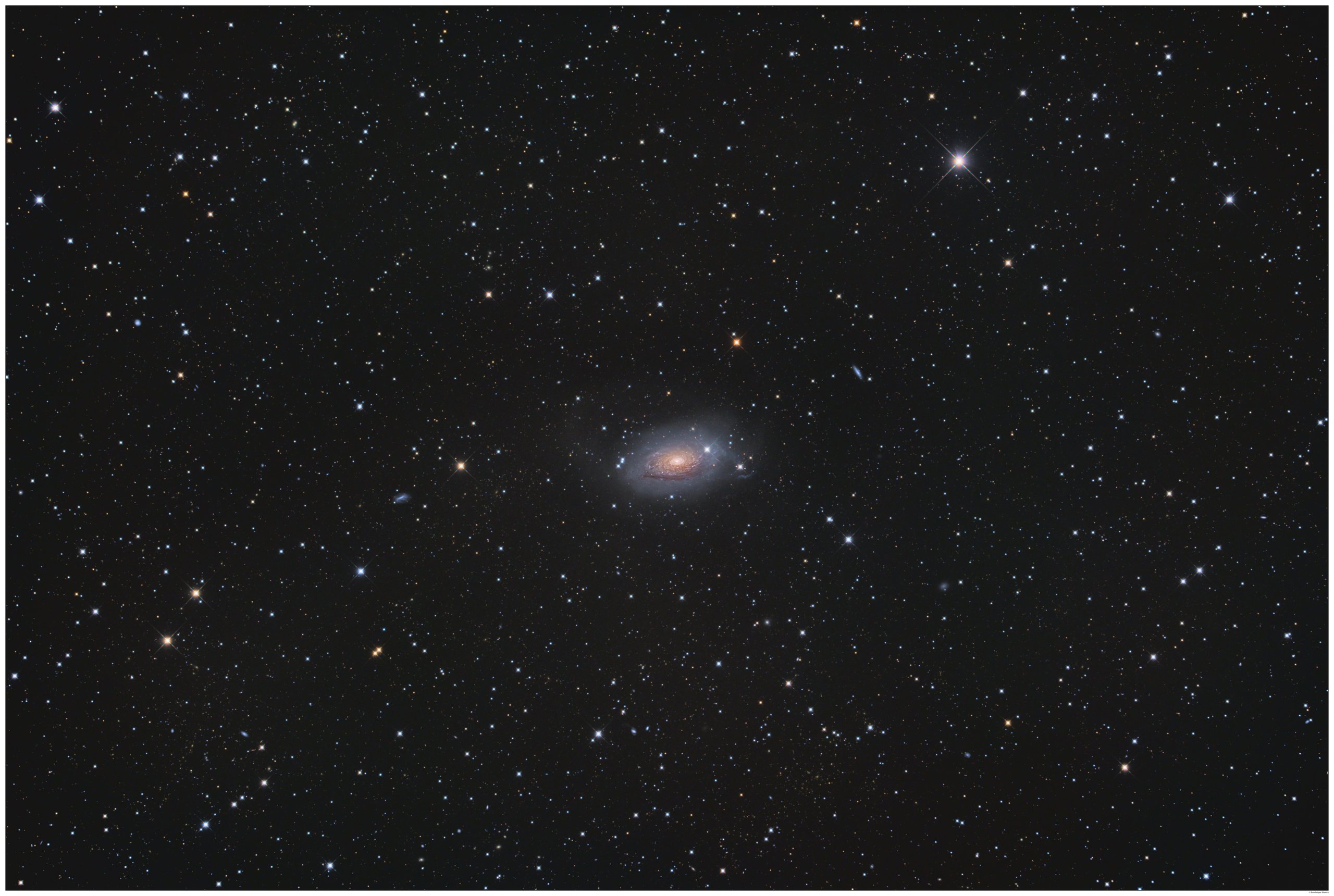 A deep-sky telescope image of M63, the Sunflower Galaxy, a spiral galaxy in Canes Venatici. The galaxy shows a bright golden core surrounded by blue spiral arms, set against a star-filled black background. Several other distant galaxies are faintly visible in the field.