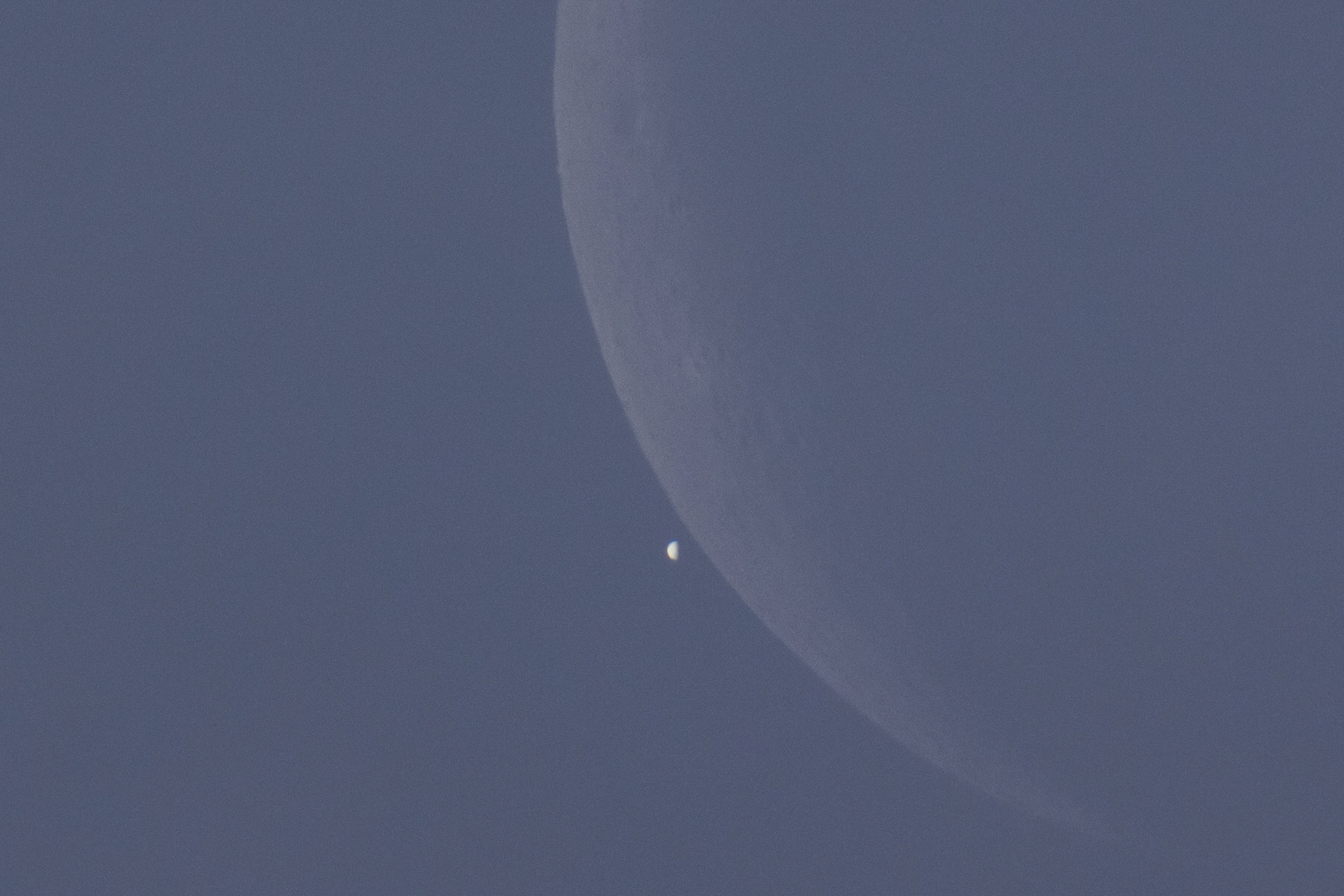 A telephoto photograph taken in daylight showing the crescent Moon dominating the upper right of the frame against a blue-gray sky. Venus is captured as a tiny crescent-shaped disk just below the Moon's dark limb, moments before disappearing behind it during a daytime occultation.