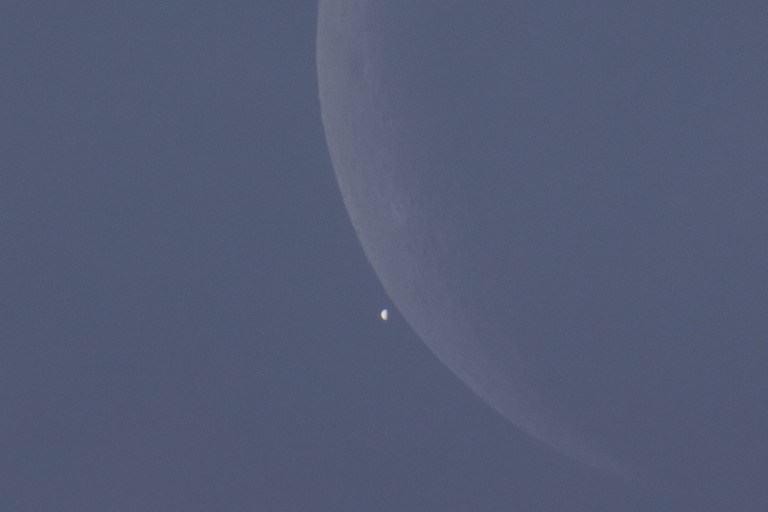 A telephoto photograph taken in daylight showing the crescent Moon dominating the upper right of the frame against a blue-gray sky. Venus is captured as a tiny crescent-shaped disk just below the Moon's dark limb, moments before disappearing behind it during a daytime occultation.