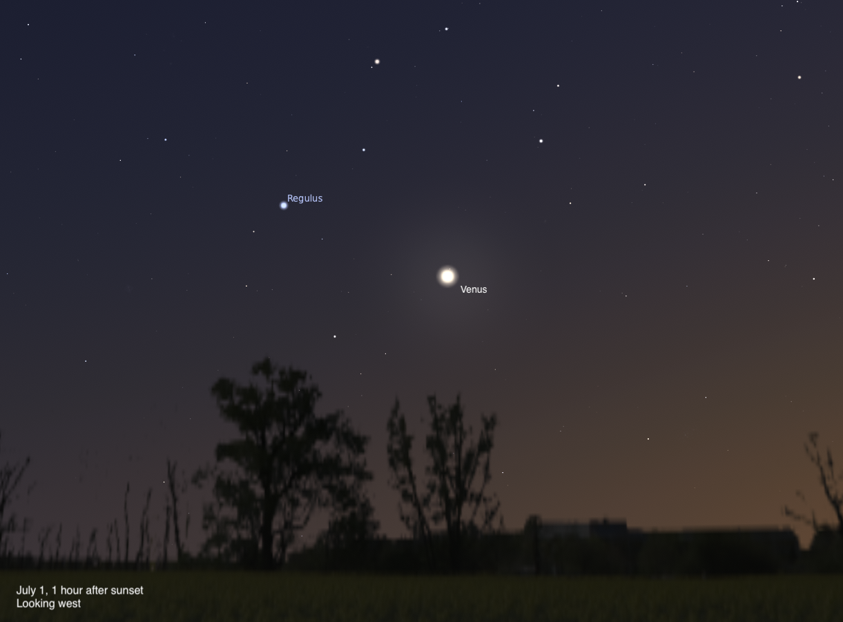 A simulated evening sky looking west on July 1, 2026, one hour after sunset. Venus blazes brilliantly near the center of the frame, with the blue-white star Regulus visible to its upper left. The silhouettes of trees line the horizon beneath a deep blue twilight sky fading to orange near the ground.