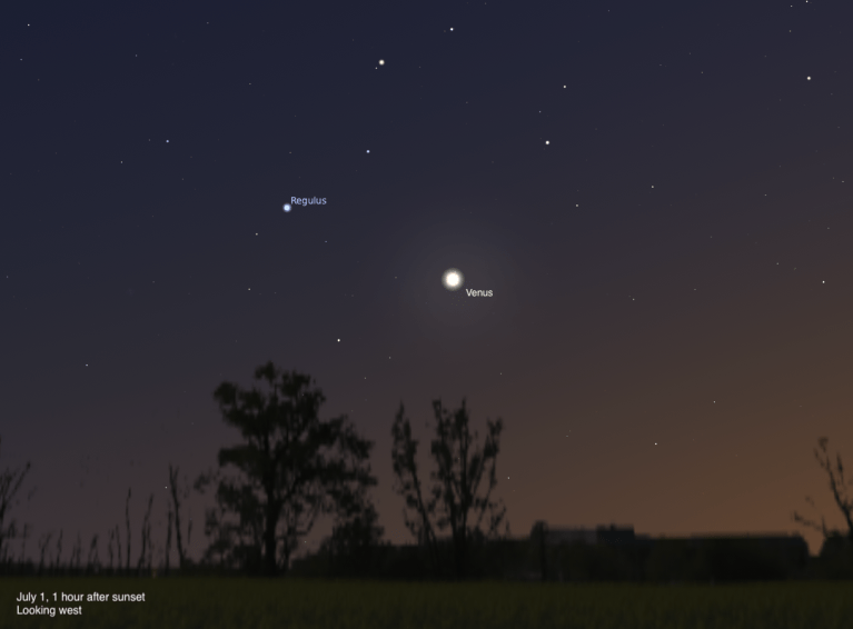 A simulated evening sky looking west on July 1, 2026, one hour after sunset. Venus blazes brilliantly near the center of the frame, with the blue-white star Regulus visible to its upper left. The silhouettes of trees line the horizon beneath a deep blue twilight sky fading to orange near the ground.