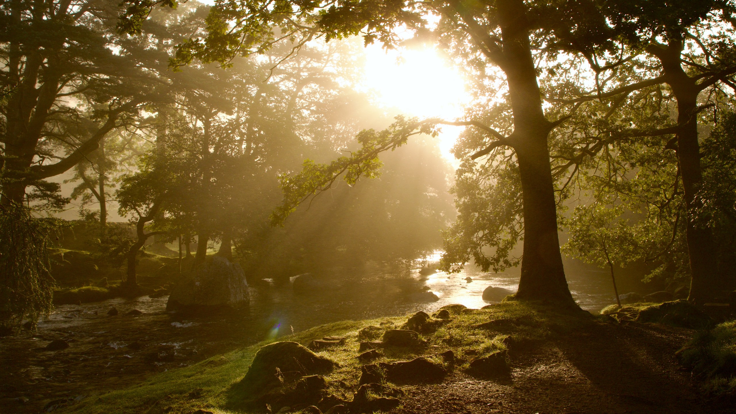 A misty summer forest scene with golden sunlight streaming through the canopy of large oak trees, illuminating a mossy, rocky streambank beside a shallow, gently flowing river. A lens flare is visible in the lower center of the image.