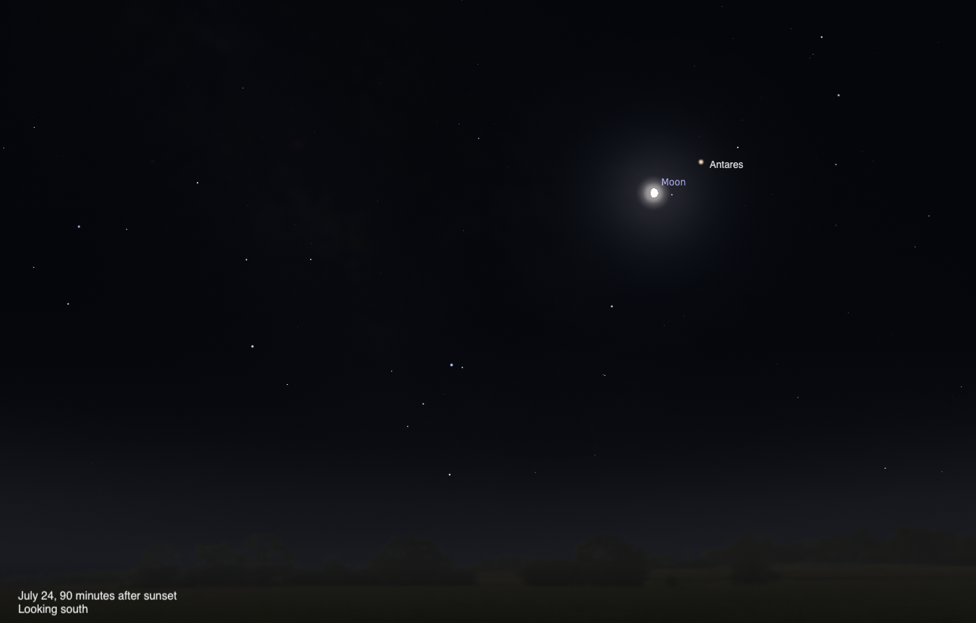 A simulated evening sky looking south on July 24, 2026, 90 minutes after sunset. A crescent Moon sits close to the bright orange-red star Antares near the right of the frame. The sky is a deep blue with a subtle glow along the tree-lined horizon.