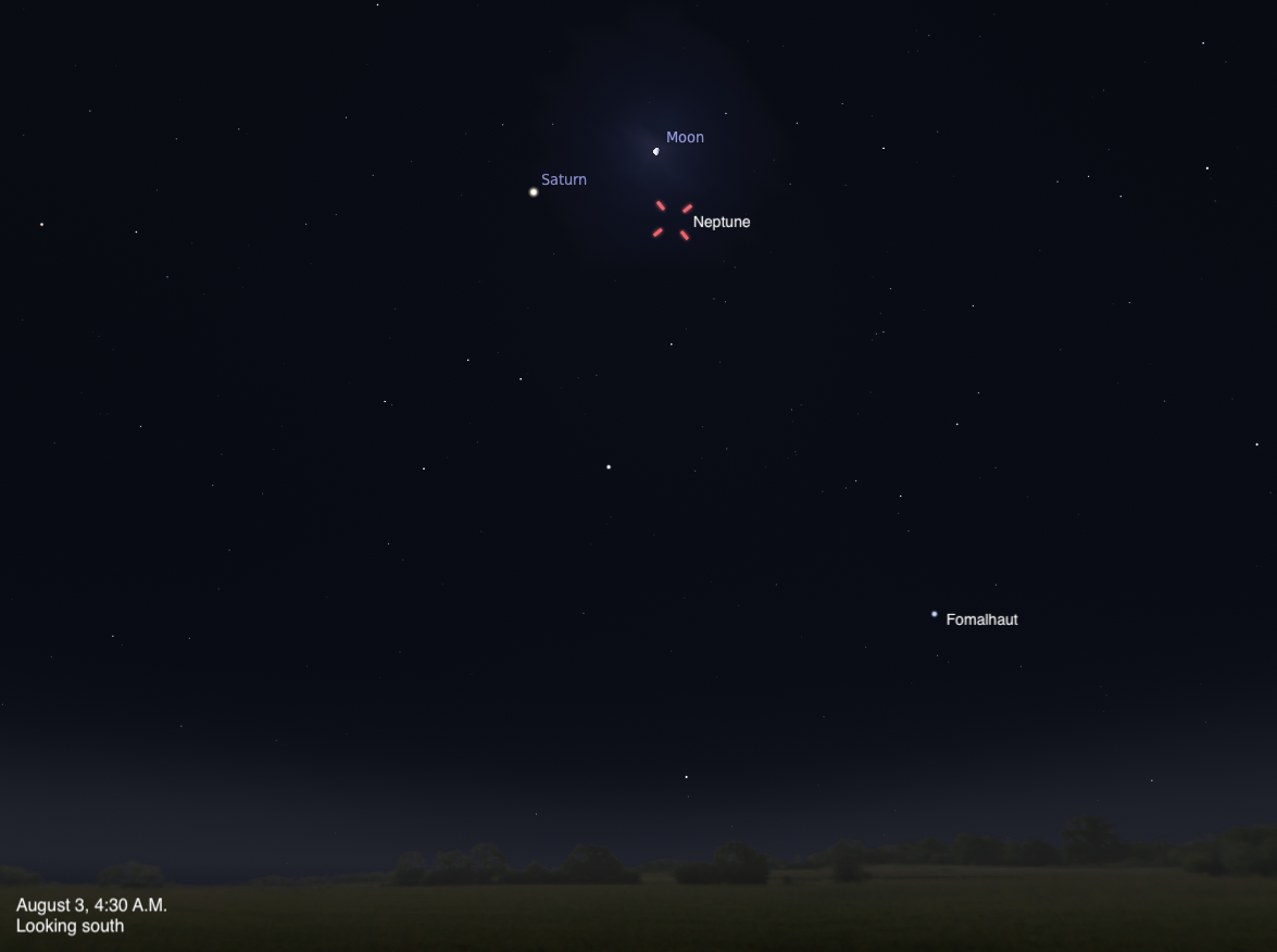 A sky chart showing the southern sky on August 3, 2026, at 4:30 A.M. The crescent Moon is visible near the top center, with Saturn labeled just to its left. Neptune is highlighted with a red dashed circle just below and to the right of the Moon. The star Fomalhaut is labeled in the lower right. The sky is deep blue-black with a faint twilight glow near the dark horizon.