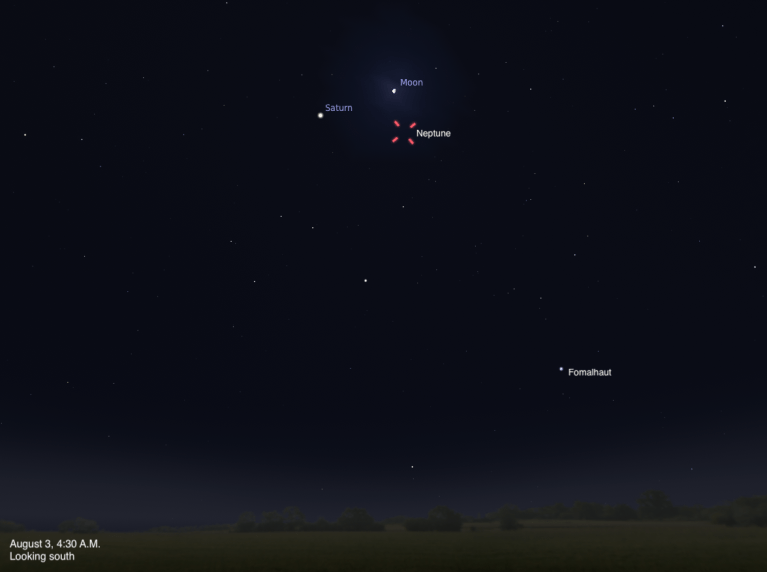 A sky chart showing the southern sky on August 3, 2026, at 4:30 A.M. The crescent Moon is visible near the top center, with Saturn labeled just to its left. Neptune is highlighted with a red dashed circle just below and to the right of the Moon. The star Fomalhaut is labeled in the lower right. The sky is deep blue-black with a faint twilight glow near the dark horizon.
