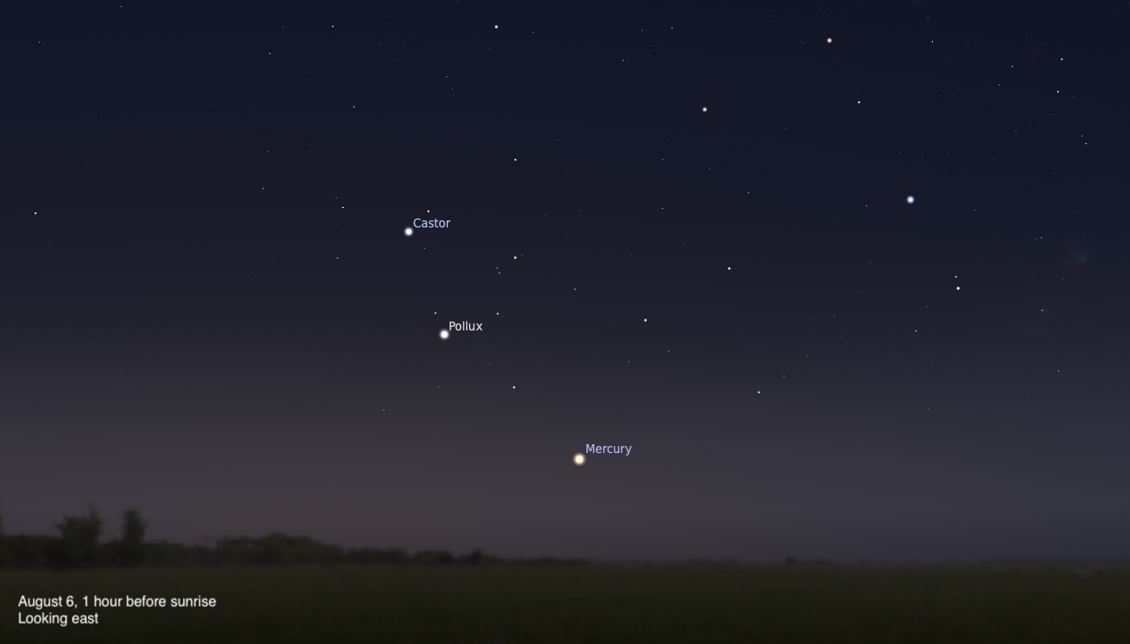 A sky chart showing the eastern sky on August 6, 2026, one hour before sunrise. Mercury glows as a bright yellowish point low on the horizon near the center. The twin stars Castor and Pollux are labeled above and to the left, and the sky fades from deep blue-black above to a warm twilight gradient near the dark treeline silhouette along the bottom.