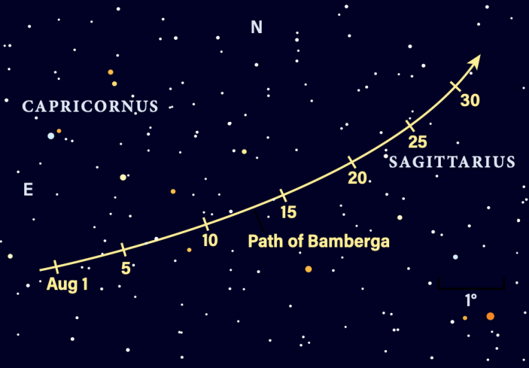 The path of asteroid Bamberga in August 2026
