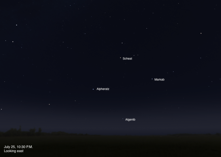 A simulated night sky looking east on July 25, 2026, at 10:30 P.M. The four corner stars of the Great Square of Pegasus are rising above the horizon, with Scheat and Markab visible in the upper portion of the frame and Alpheratz and Algenib lower down. The sky fades from deep blue at the top to a subtle twilight glow near the dark, flat horizon.